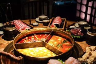 打卡同赢餐饮管理咨询 不是网红，却是行业热宠